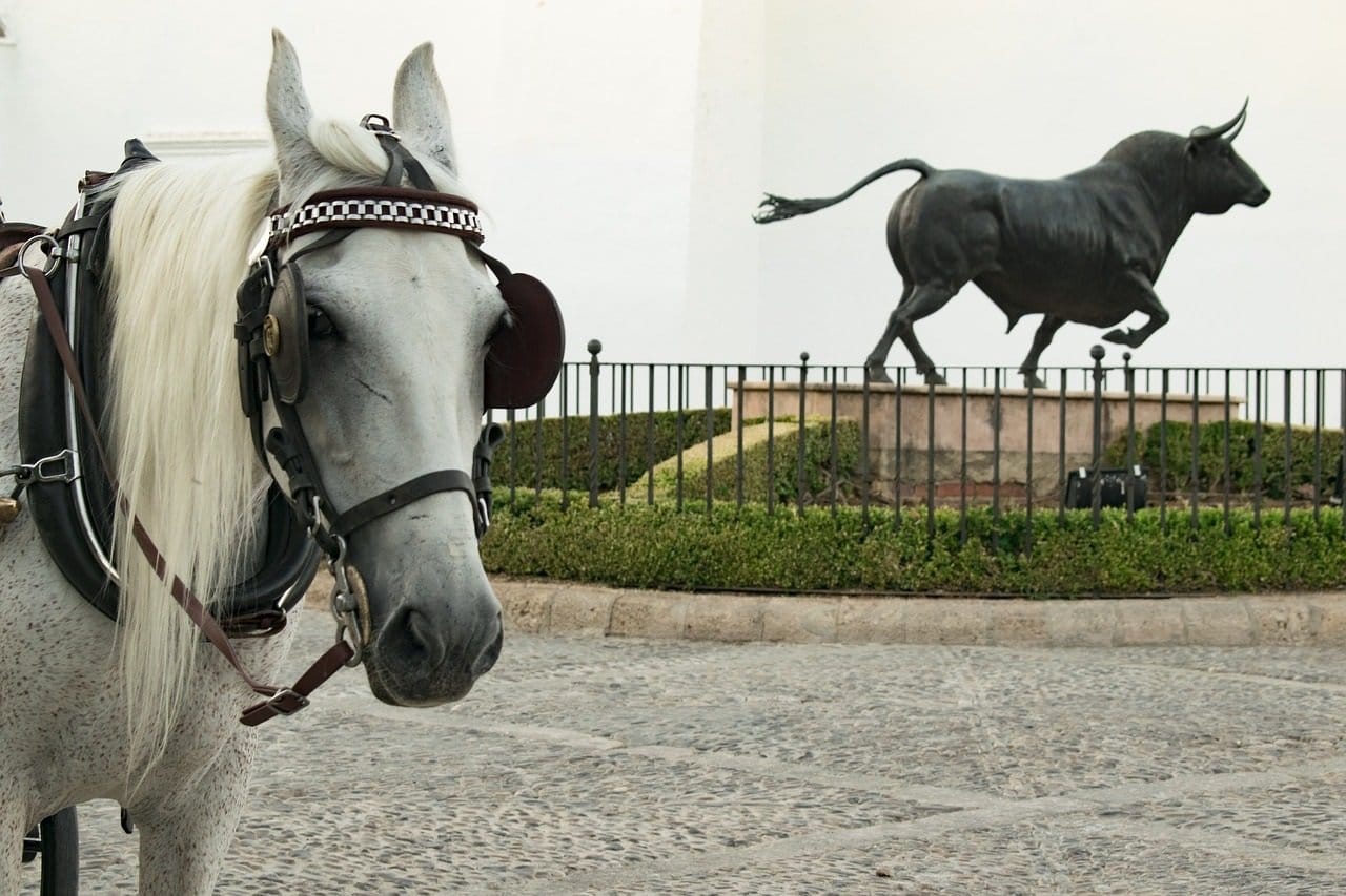 Espanja-Andalucia-Malaga-horse-2685746_1280