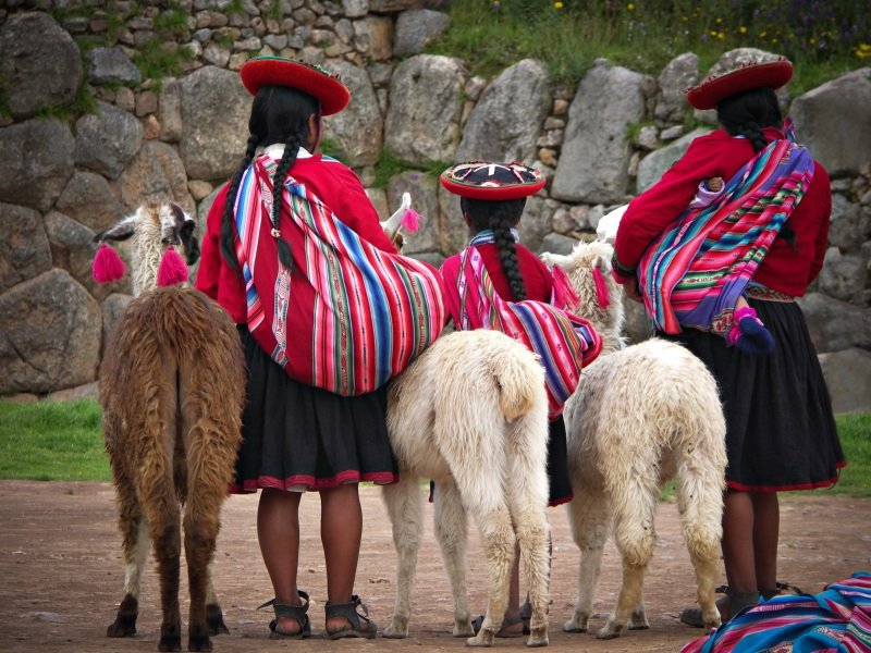 Peru_Peruvian Girls and Alpacas at Sacsayhuaman, Cusco Peru_800x600