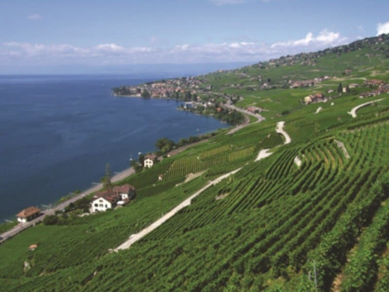 Sveitsi_Fins_Lavaux-epesses_800X600