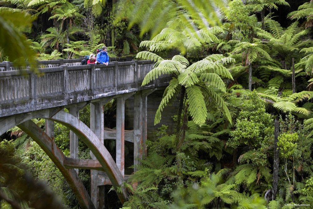 The Bridge to Nowhere, Whanganui River, Ruapehu District. New Zealand. model release # 430 & 431